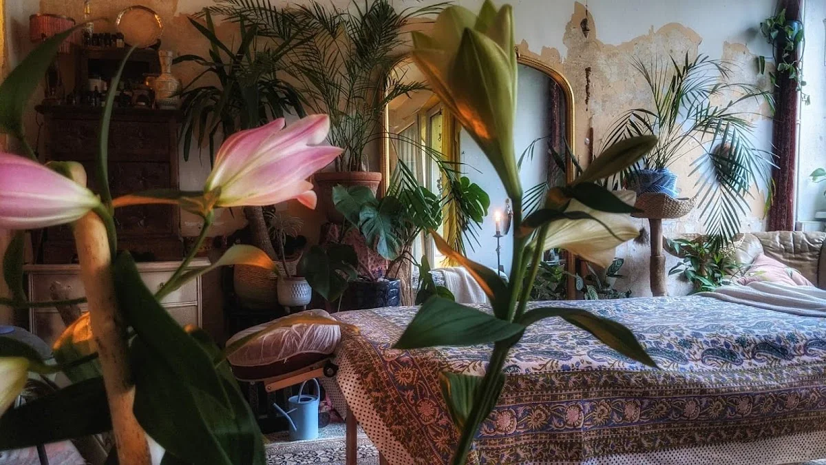 Sphynx Massage for women/flinta - Holistic Massage in Berlin – Vom Inhaber in Berlin