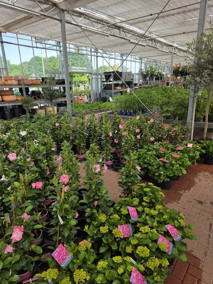 Gartencenter Westenberg – Besucherfoto von Tina Doll in Buxtehude, Niedersachsen
