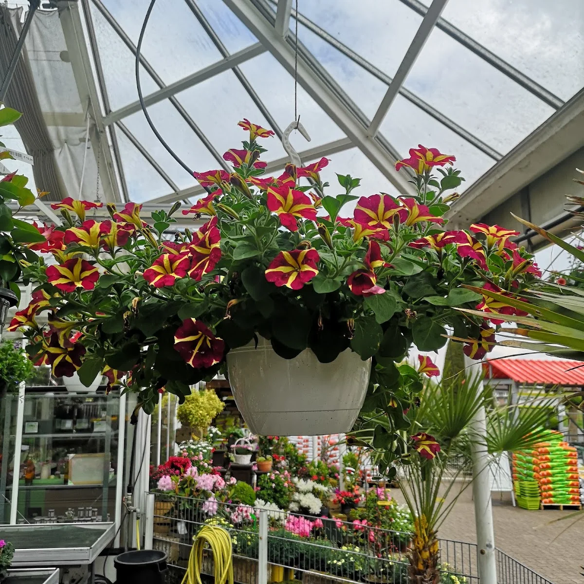 Gartencenter Westenberg – Besucherfoto von Enevold Runge in Buxtehude, Niedersachsen