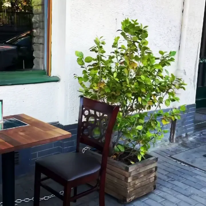 Heine Bar – Atmosphäre in Berlin