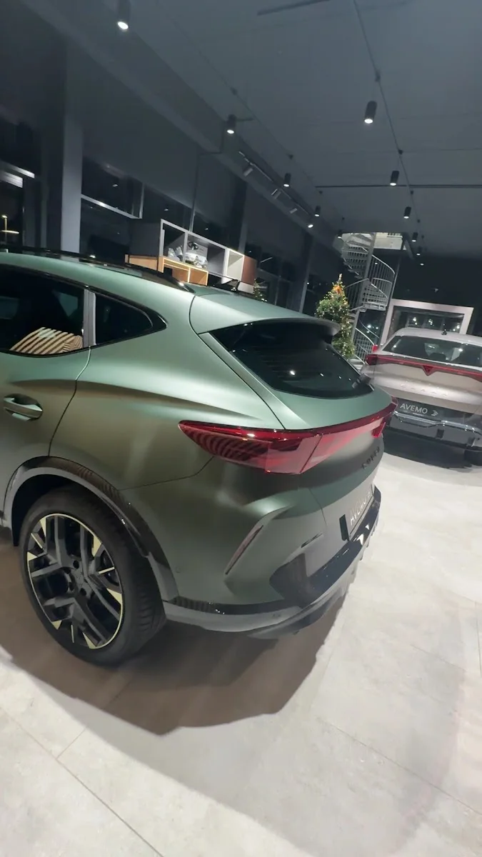 Avemo, Petri, Seat & Cupra | Autohaus Hofheim am Taunus – Autowerkstatt in Hofheim am Taunus, Hessen