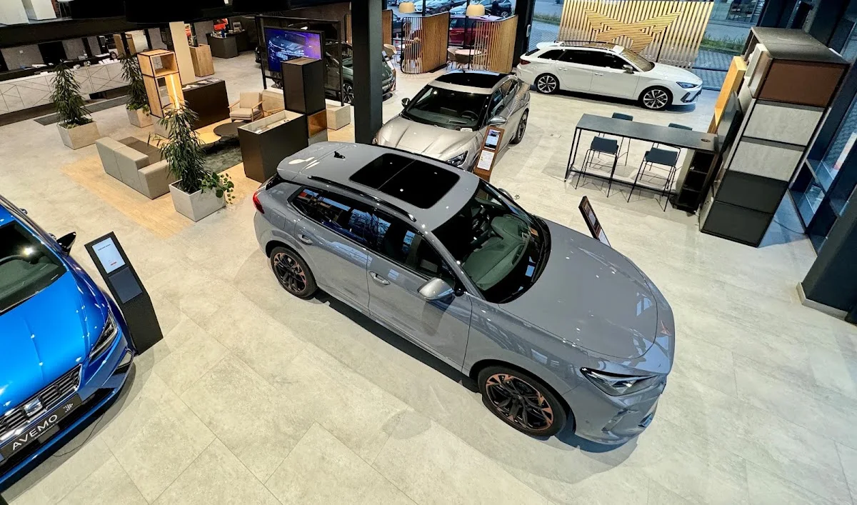 Avemo, Petri, Seat & Cupra | Autohaus Hofheim am Taunus – Autohaus in Hofheim am Taunus, Hessen