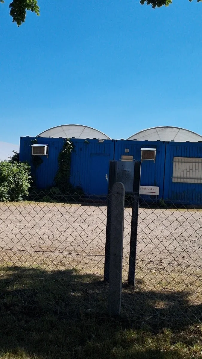 Rühlemann's Kräuter und Duftpflanzen – Gartencenter in Horstedt, Niedersachsen