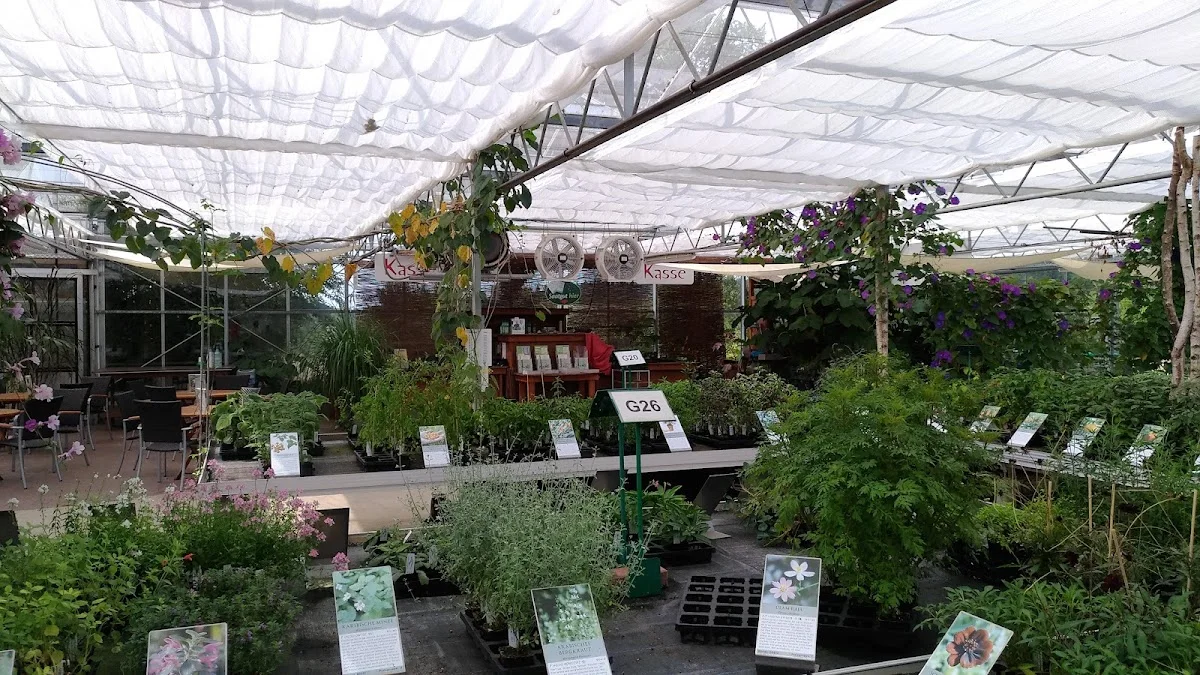 Rühlemann's Kräuter und Duftpflanzen – Blüte in Horstedt, Niedersachsen