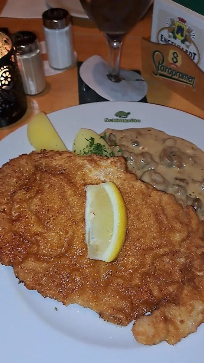 Schildkröte – Restaurant in Berlin
