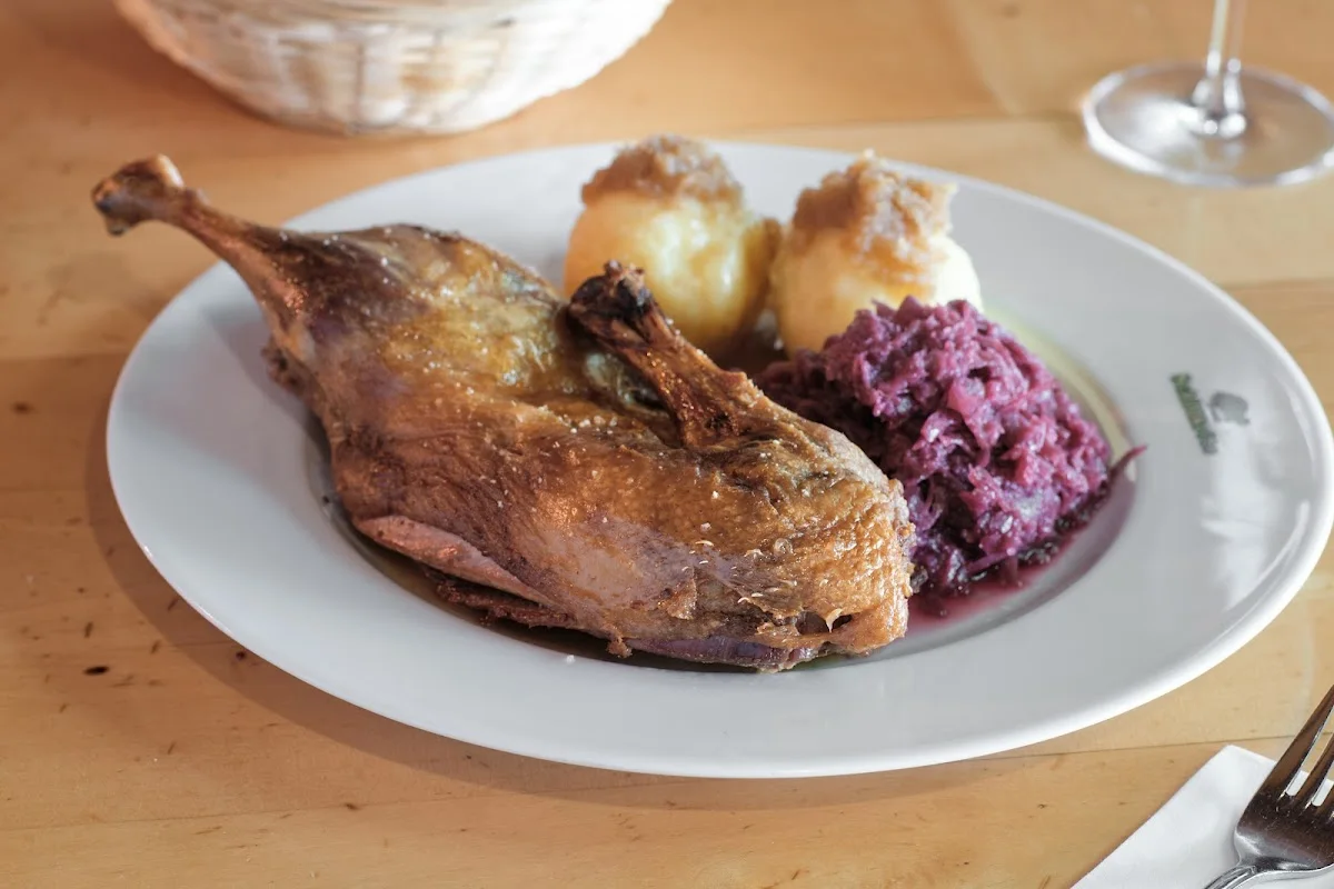 Schildkröte – Entenconfit in Berlin