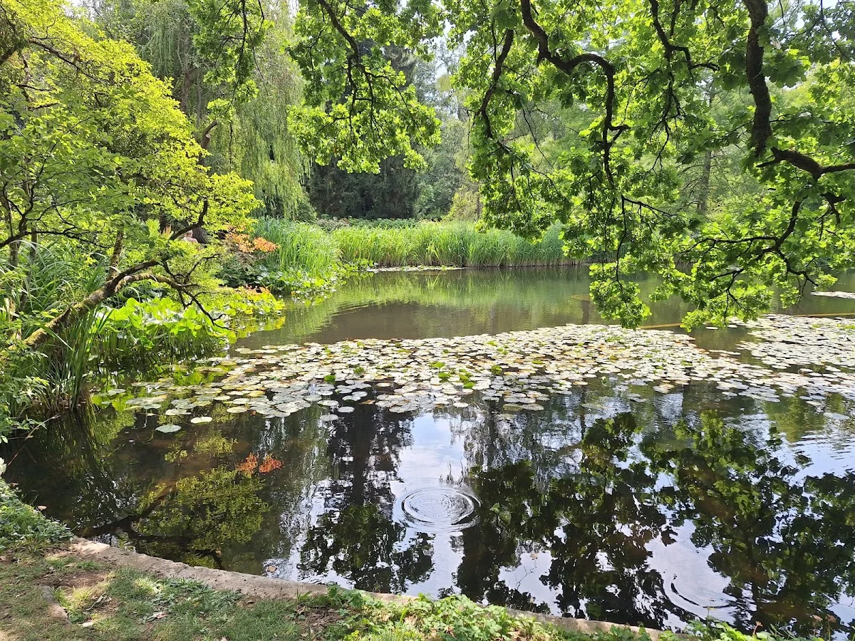 Botanischer Garten München-Nymphenburg – Sehenswürdigkeit in München, Bayern