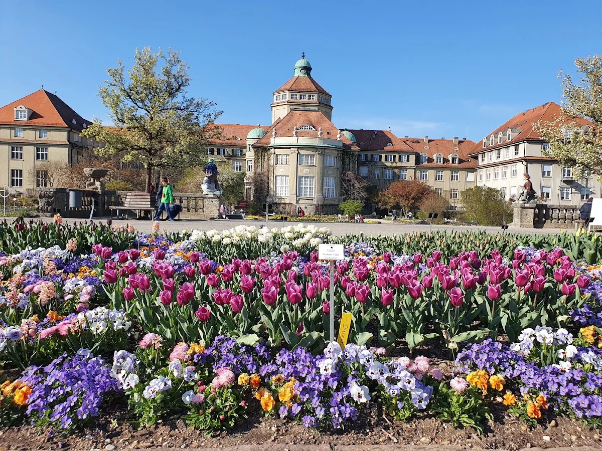 Botanischer Garten München-Nymphenburg – Bedecktsamer in München, Bayern