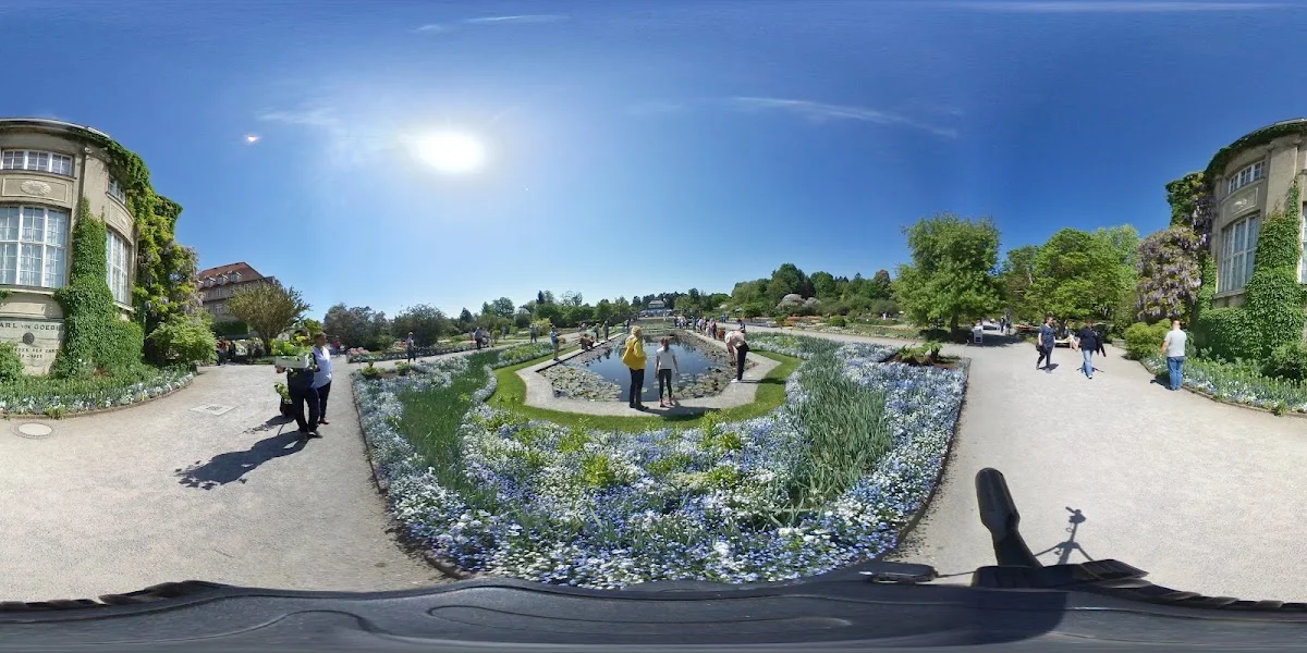 Botanischer Garten München-Nymphenburg – Street View & 360°-Fotos in München, Bayern