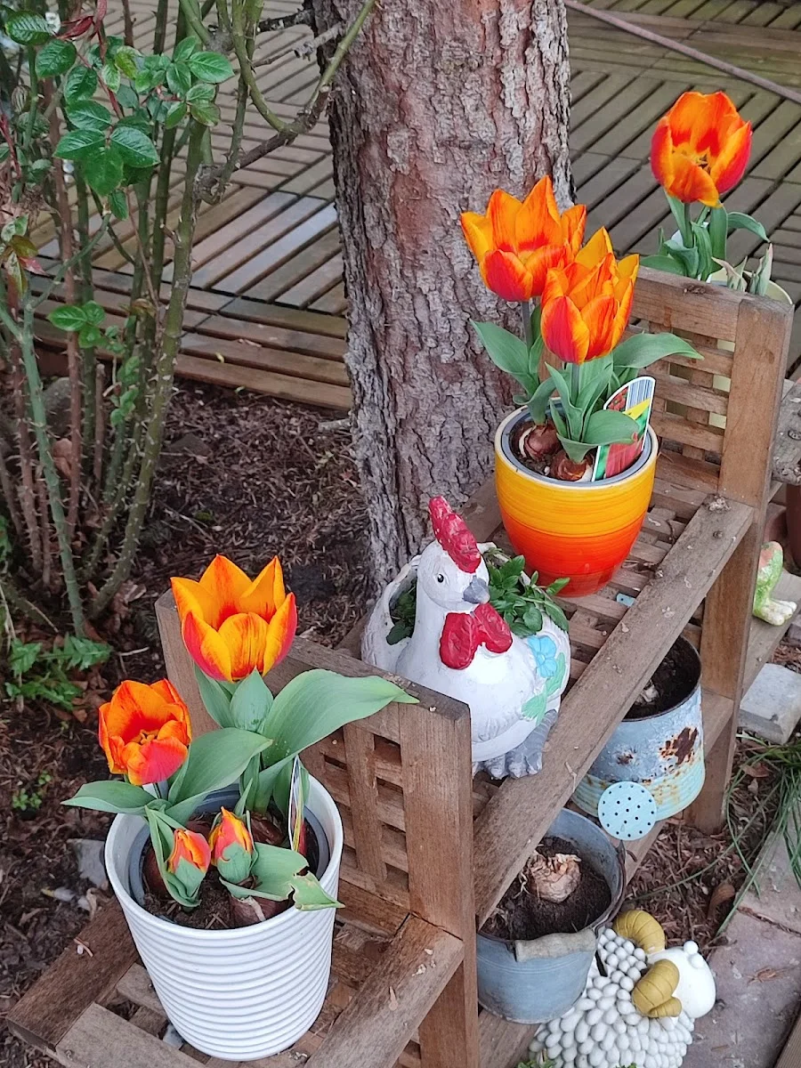 Magic Flowers, Inh. Sabine Flüchter – Garten in Recklinghausen, Nordrhein-Westfalen