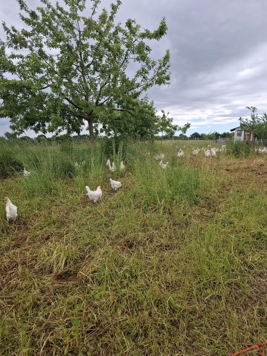 Biohofladen Overmeyer – Besucherfoto von Yvonne Neumann in Seevetal, Niedersachsen