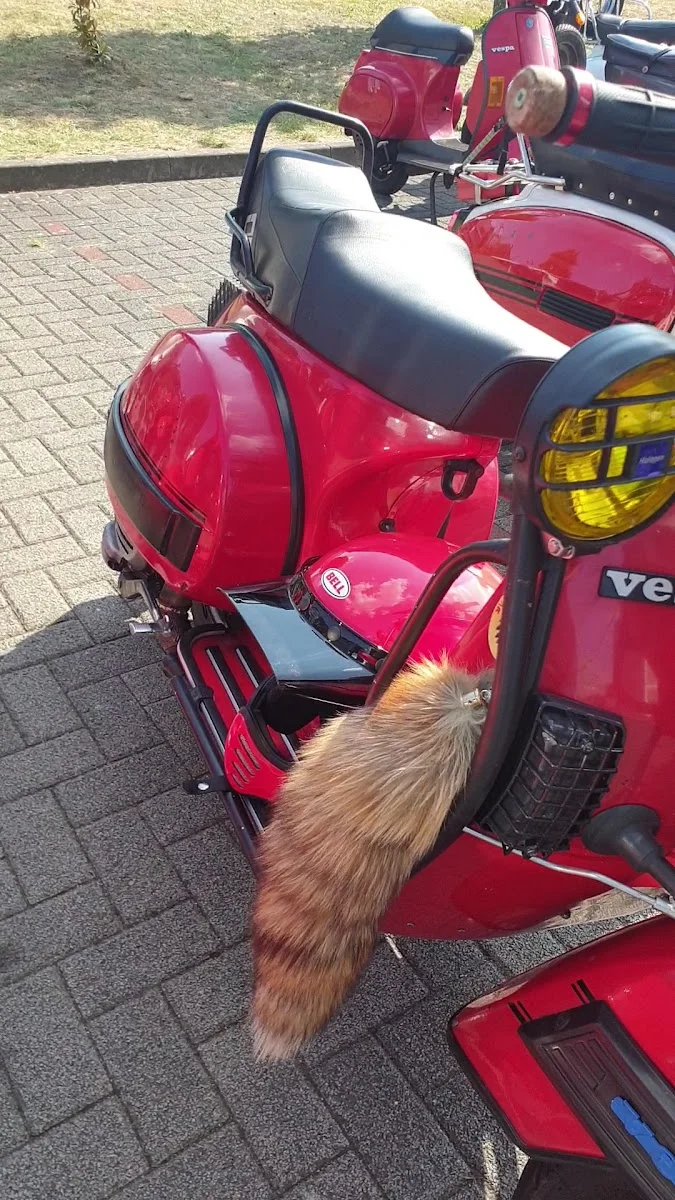 Scooter Center Onlinehandel mit Click & collect Abholung – Motorrad-Ersatzteilgeschäft in Bergheim, Nordrhein-Westfalen
