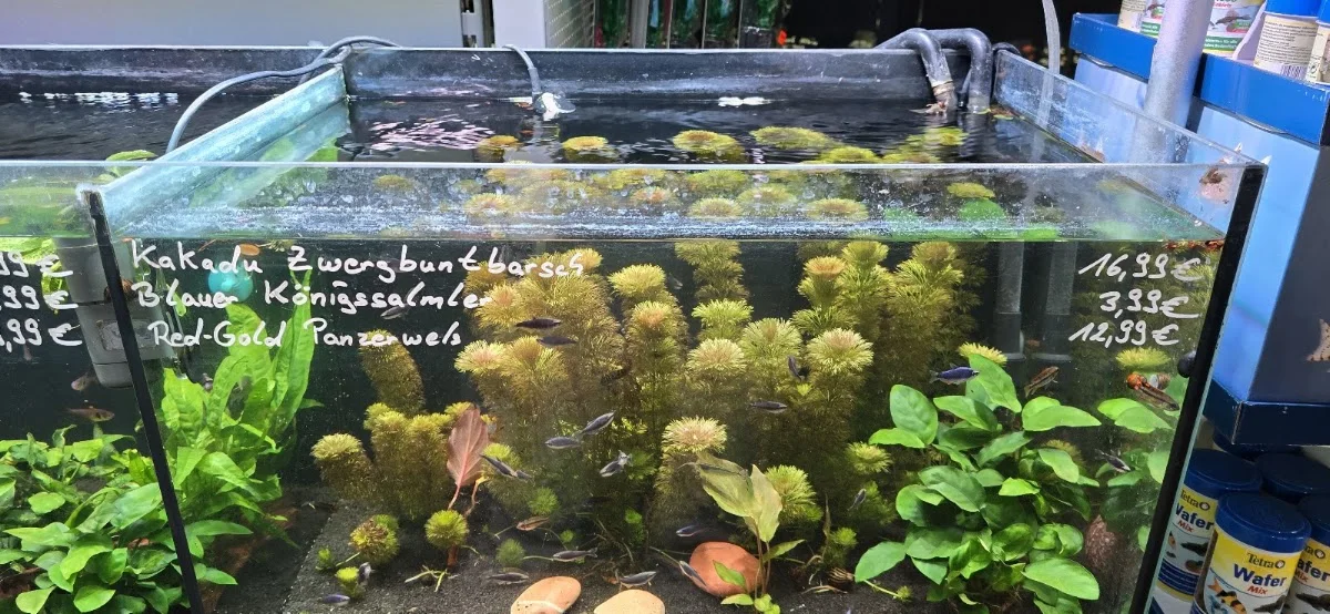 ZOO & Co. ZOOLAND Frechen – Aquarium in Frechen, Nordrhein-Westfalen
