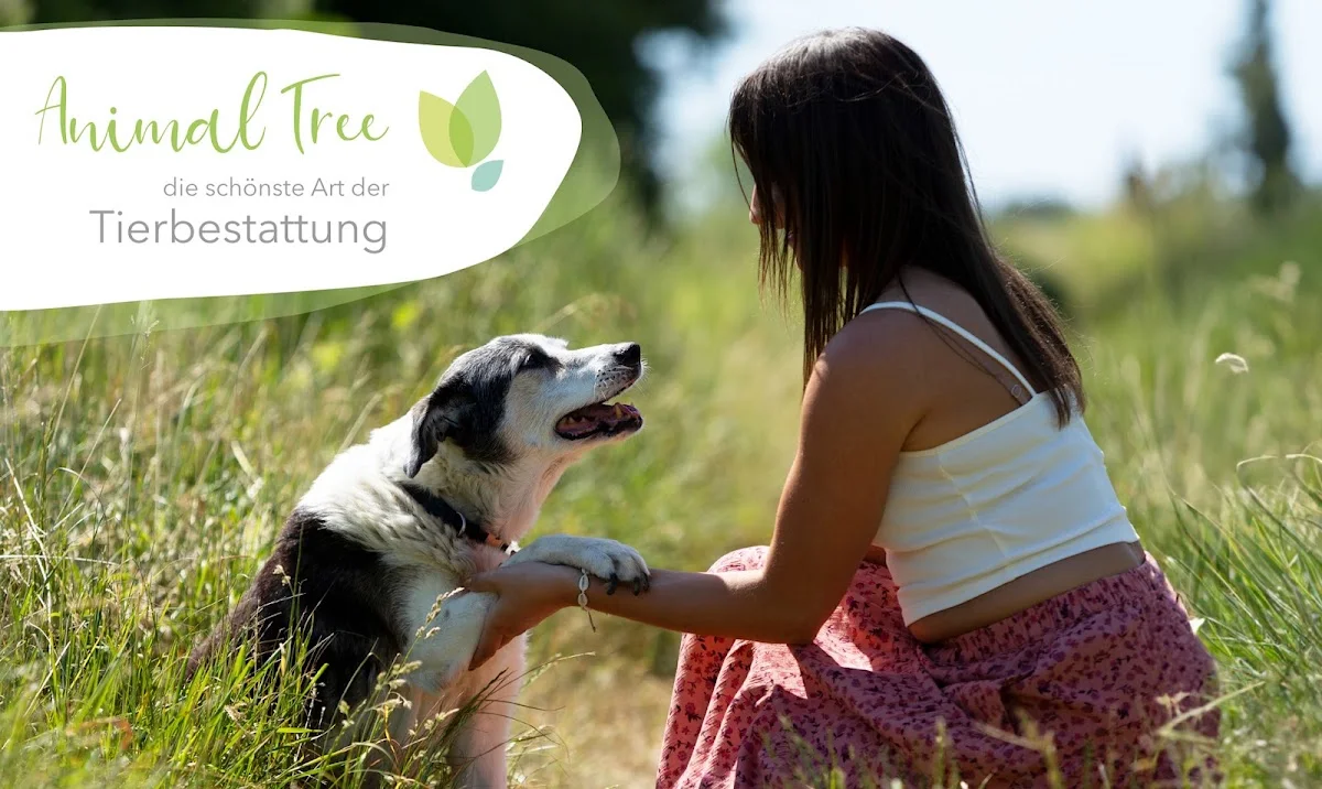 Animal Tree Tierbestattung – Profilfoto in Eschweiler, Nordrhein-Westfalen