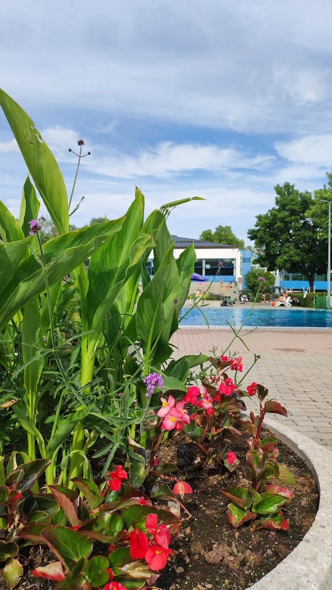Stadtbad Landshut – Besucherfoto von Nikol_Diva in Landshut, Bayern