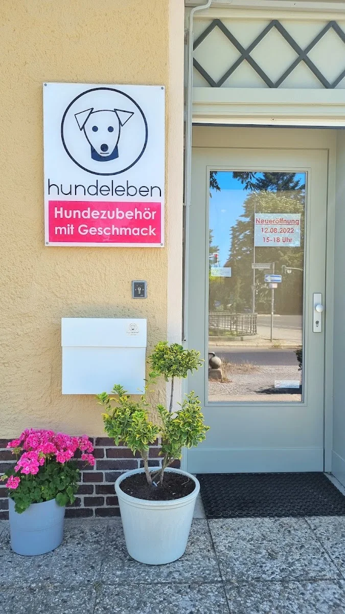 Hundeleben – Innenansichten in Berlin