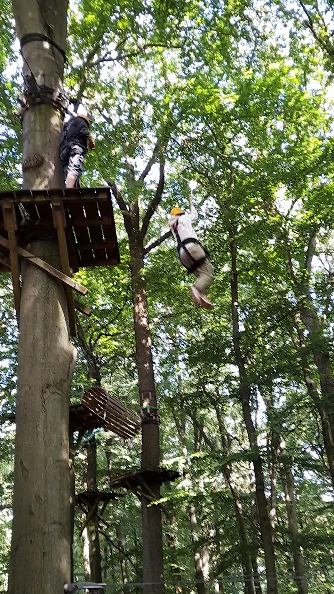 schnurstracks Kletterpark Hamburg - Sachsenwald – Fitnessprogramm in Aumühle, Schleswig-Holstein