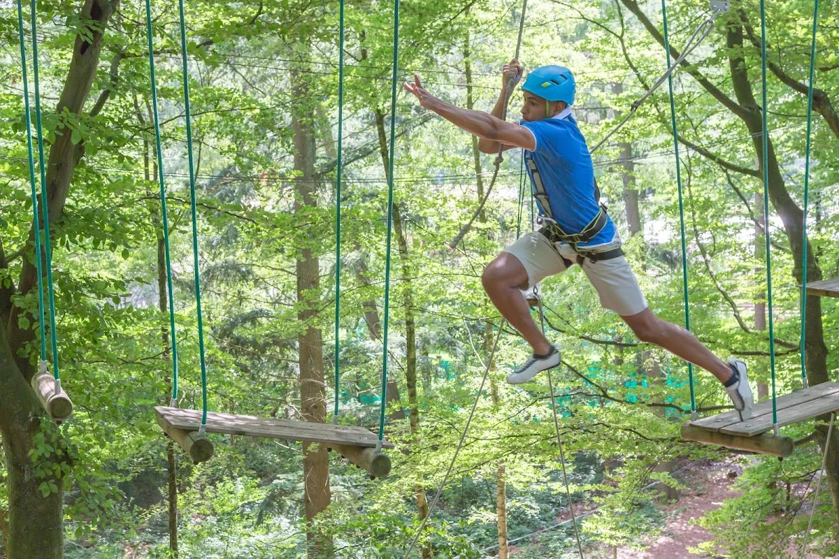schnurstracks Kletterpark Hamburg - Sachsenwald – Profilfoto in Aumühle, Schleswig-Holstein