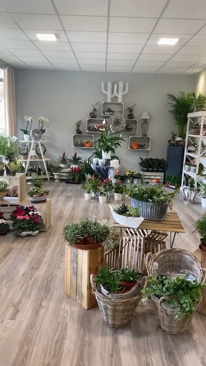 Blumenhaus Kleeblatt – Innenansichten in Bottrop, Nordrhein-Westfalen