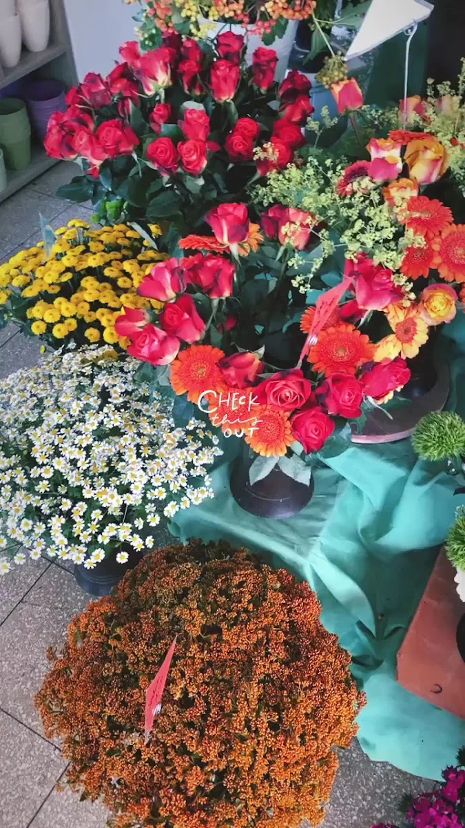 Blumenhaus Kleeblatt – Vom Inhaber in Bottrop, Nordrhein-Westfalen