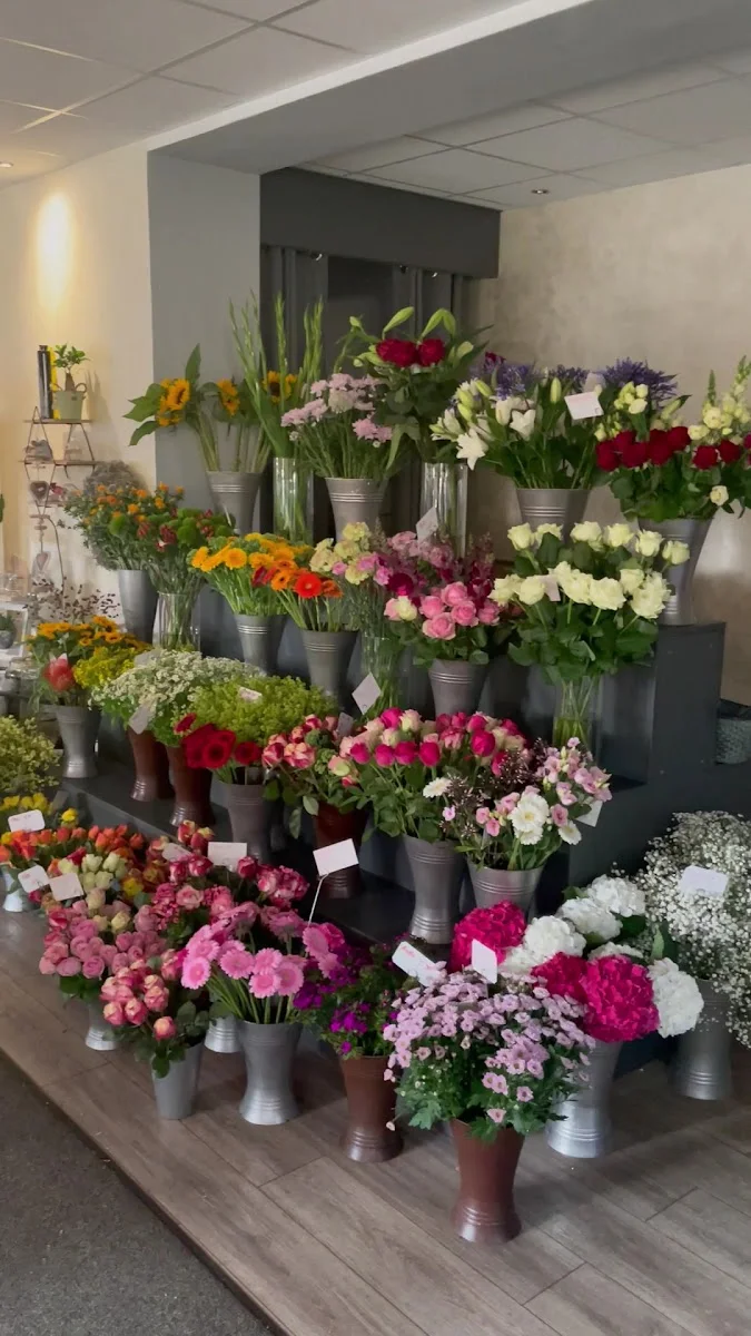 Blumenhaus Kleeblatt – Profilfoto in Bottrop, Nordrhein-Westfalen