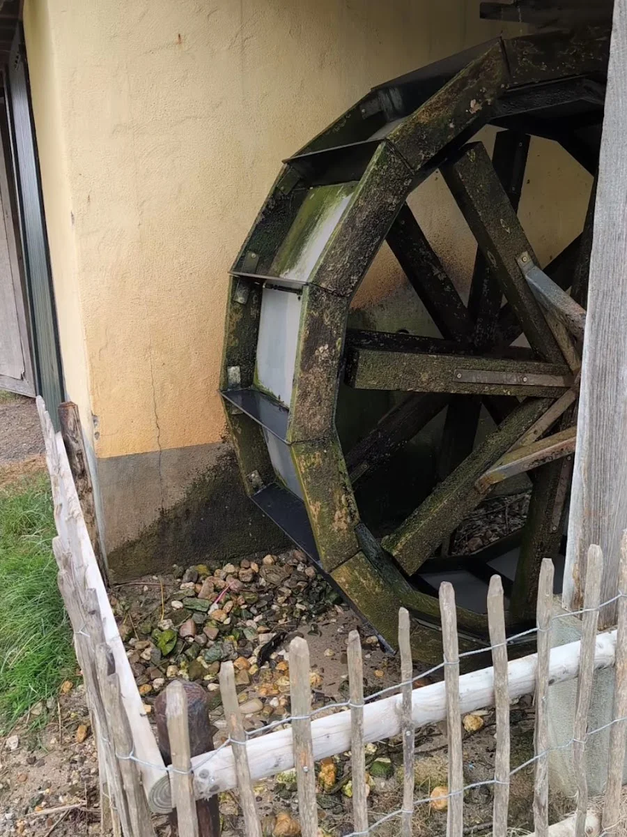 Glessener Mühlenhof - Das Bauernhoferlebnis – Besucherfoto von Marcel Hakelberg in Bergheim, Nordrhein-Westfalen