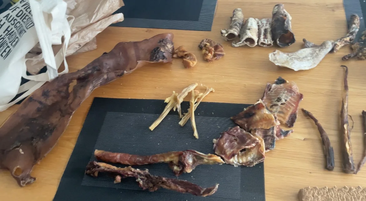 Kaupirat Recklinghausen - Lagerverkauf – Besucherfoto: Evan Husacek in Recklinghausen, Nordrhein-Westfalen