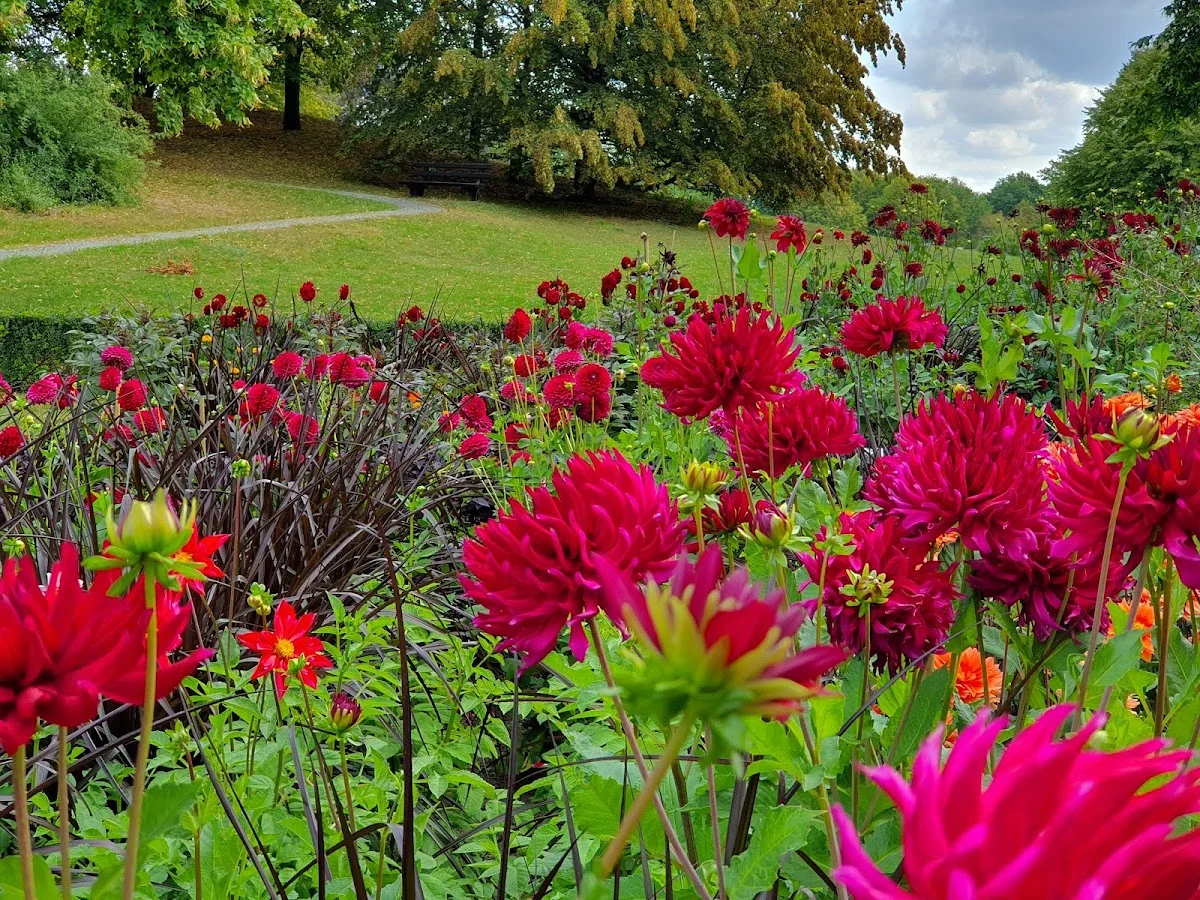 Britzer Garten – Dahlienfeuer in Berlin