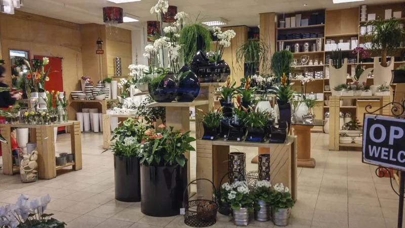 Blumen Bayer – Profilfoto in Augsburg, Bayern