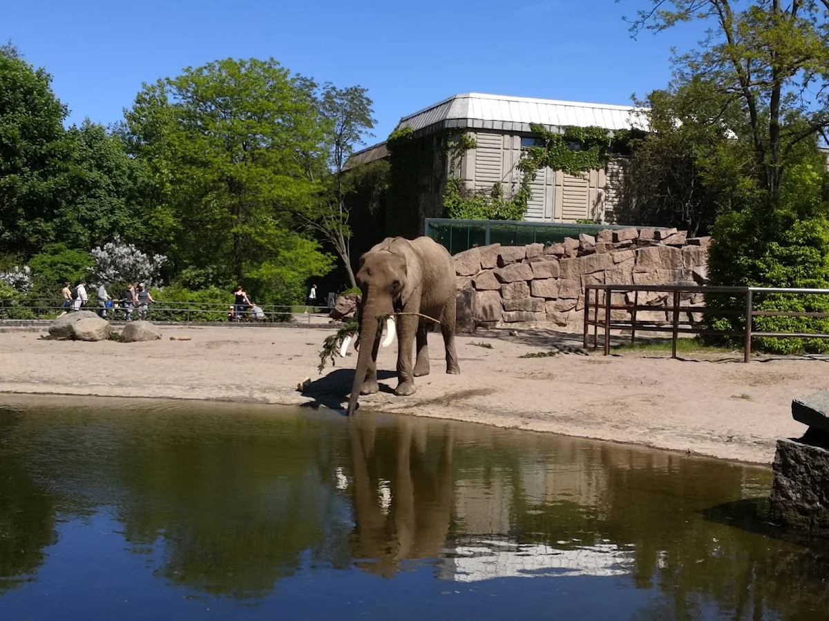 Café Schloss Friedrichsfelde – Elefanten in Berlin