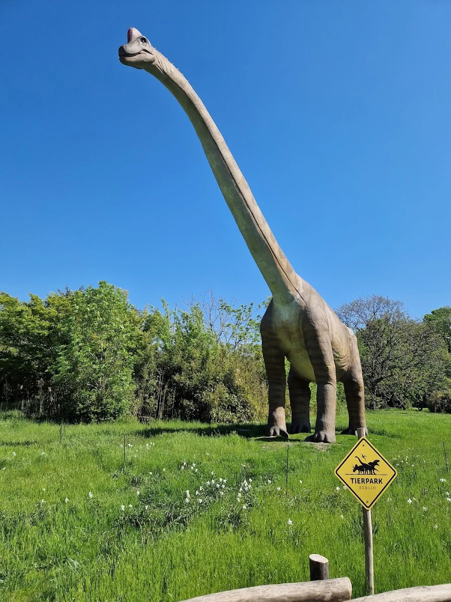 Café Schloss Friedrichsfelde – Brachiosaurus in Berlin