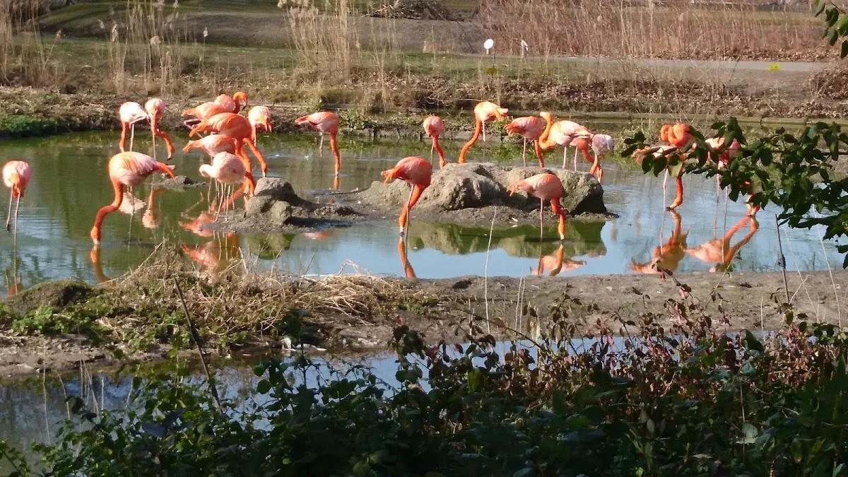 Café Schloss Friedrichsfelde – Tierpark Berlin in Berlin
