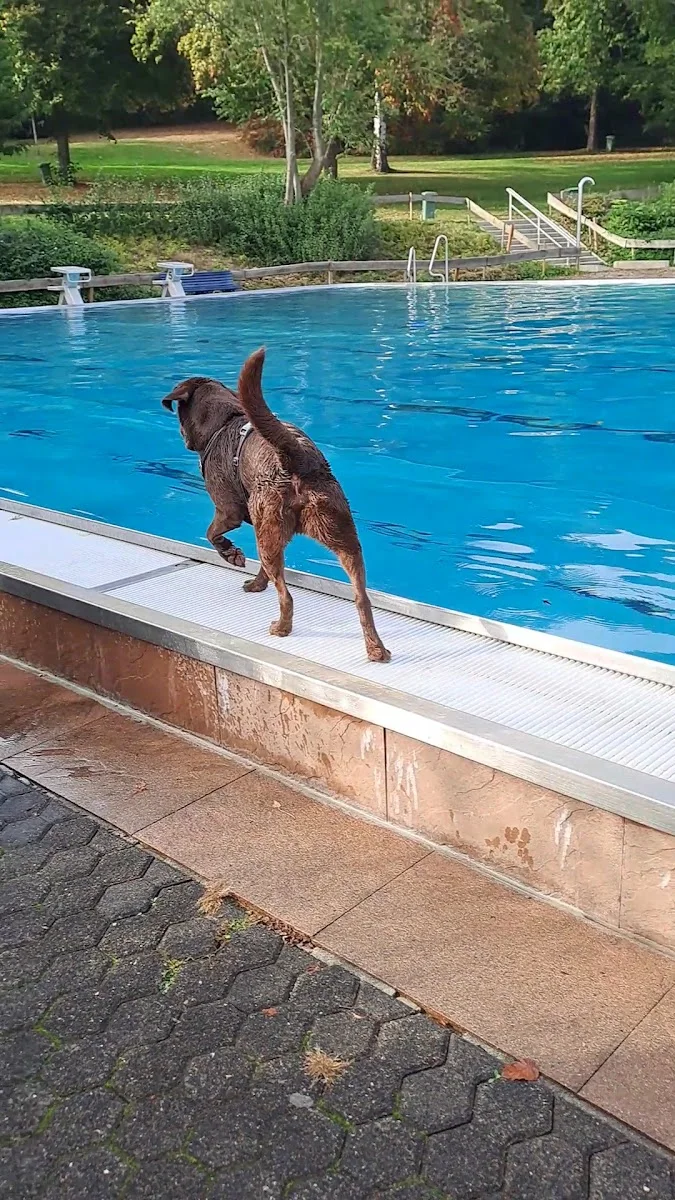 Aquarena Pulheim – Schwimmbecken in Pulheim, Nordrhein-Westfalen