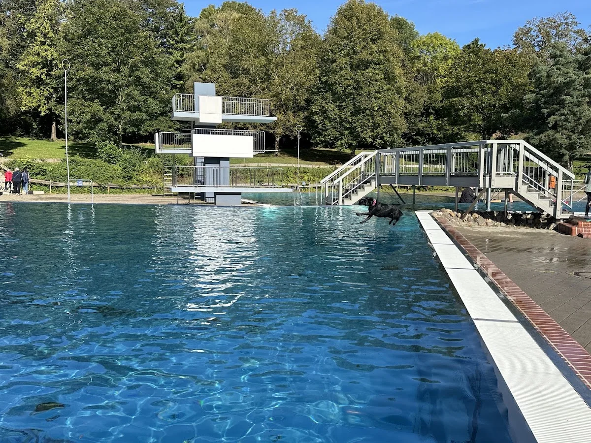 Aquarena Pulheim – Profilfoto in Pulheim, Nordrhein-Westfalen