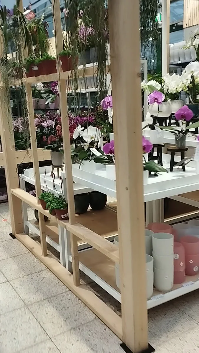 Gartencenter Selbach Leverkusen – Café in Leverkusen, Nordrhein-Westfalen