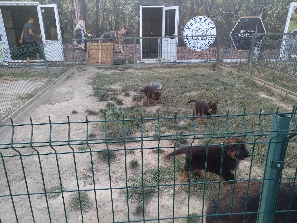 Pasteur Köpek Eğitim Merkezi – Ziyaretçi fotoğrafı: Cuneyt Selcuk Gungor · Uzunçiftlik, Kocaeli