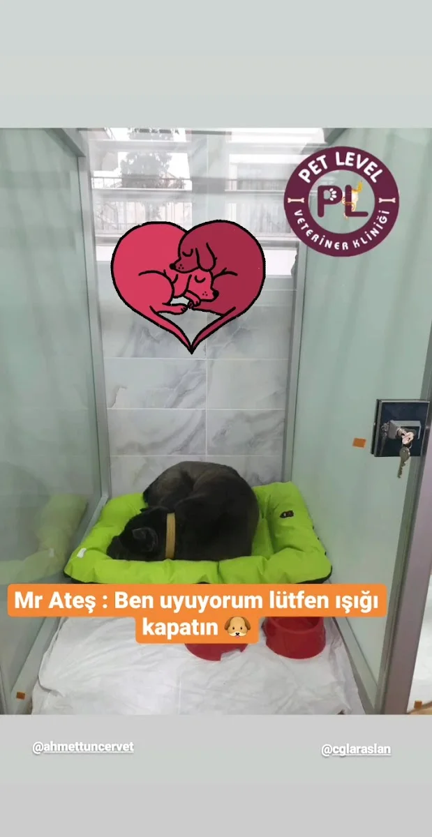 Keçiören Pet Level Veteriner Klinik – Videolar · Etlik, Ankara