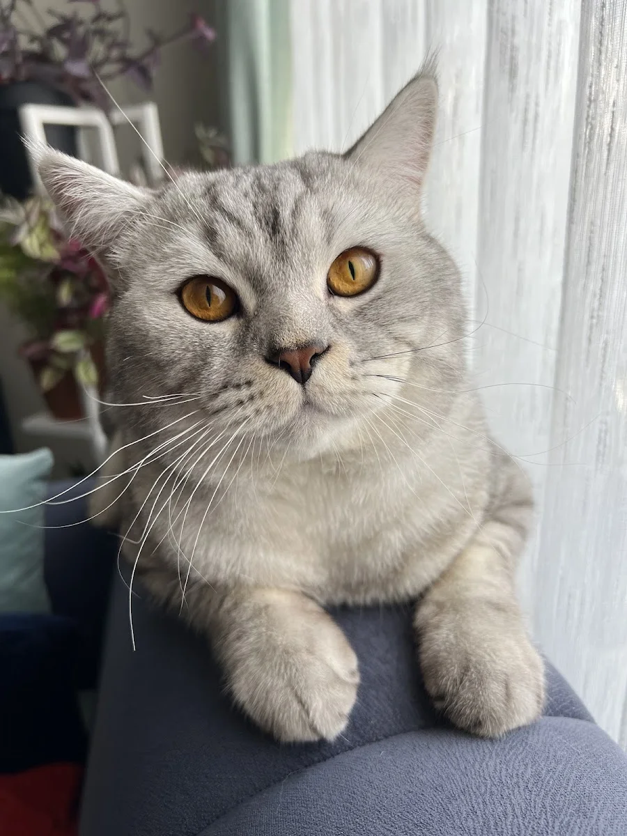 Keçiören Pet Level Veteriner Klinik – Ziyaretçi fotoğrafı: Gizem Sevinç · Etlik, Ankara