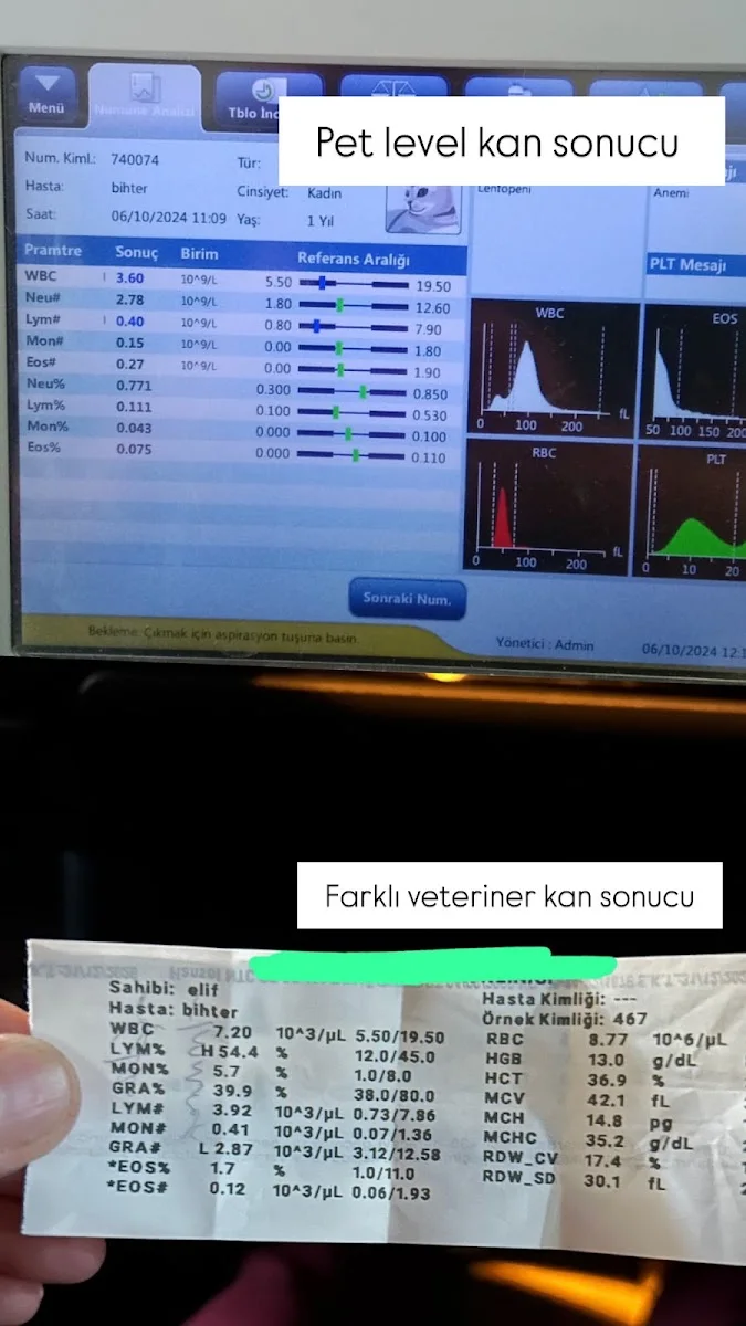 Keçiören Pet Level Veteriner Klinik – Ziyaretçi fotoğrafı: Cennet Yavuz · Etlik, Ankara