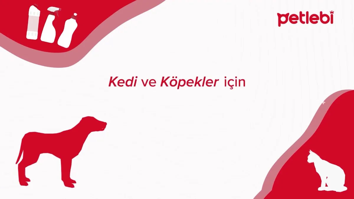 petlebi – Sahibinin seçtikleri · Demirtaş, Bursa