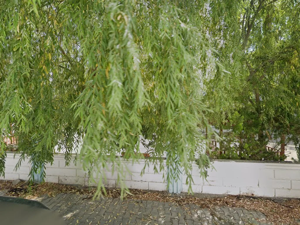Key Koleji Iğdır Kampüsü – Street View ve 360° · Obaköy, Iğdır