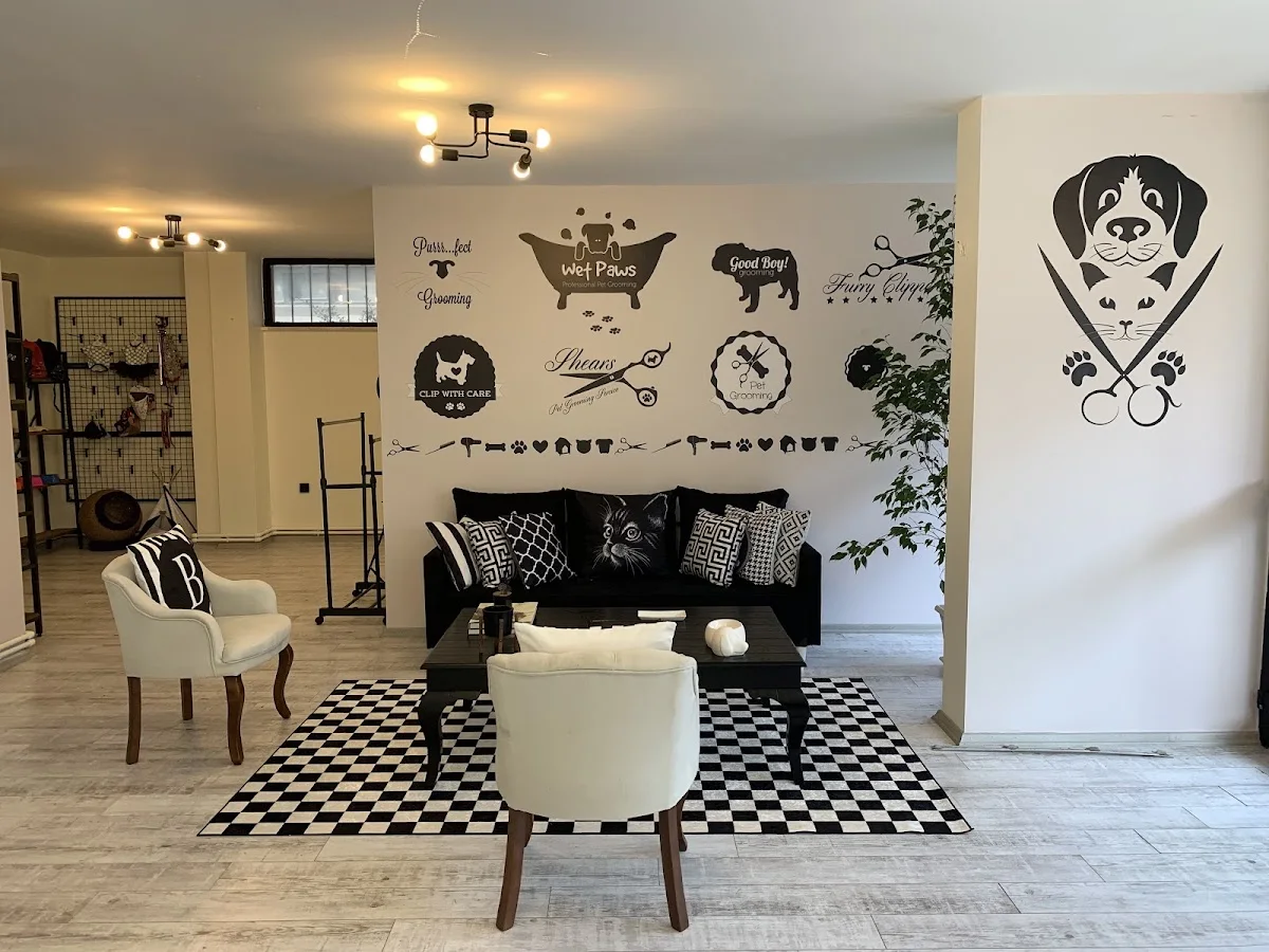 BONİTA PET KUAFÖR VE PET SHOP / ÇEKMEKÖY – Sahibinin seçtikleri · Çekmeköy, İstanbul