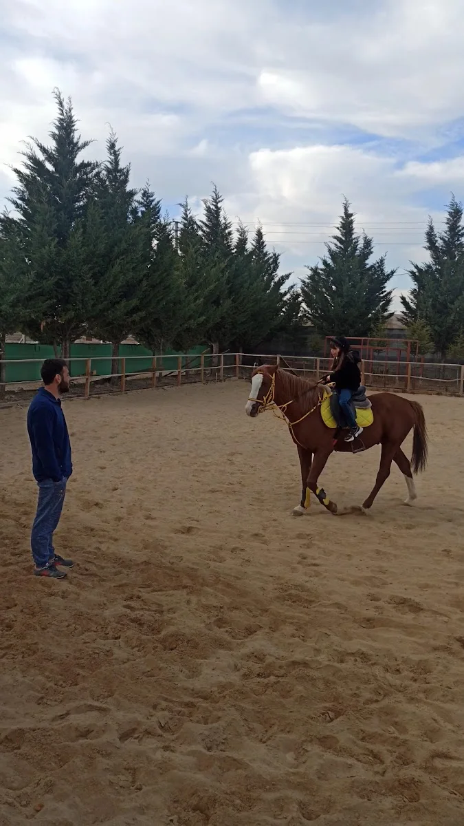 KOÇTEK ÇİFTLİĞİ – Videolar · Ulus, Ankara