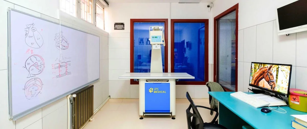 Cat Hospital Kedi Hastanesi – Bina · Kavaklidere, Ankara