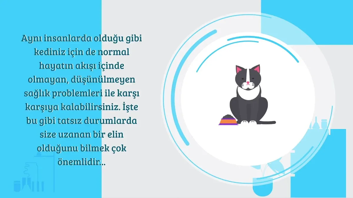 Cat Hospital Kedi Hastanesi – Sahibinin seçtikleri · Kavaklidere, Ankara