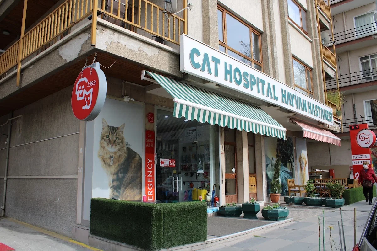 Cat Hospital Kedi Hastanesi – Profil fotoğrafı · Kavaklidere, Ankara