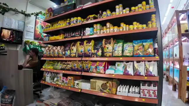 Aquashop – Videolar · Alemdar, Bursa