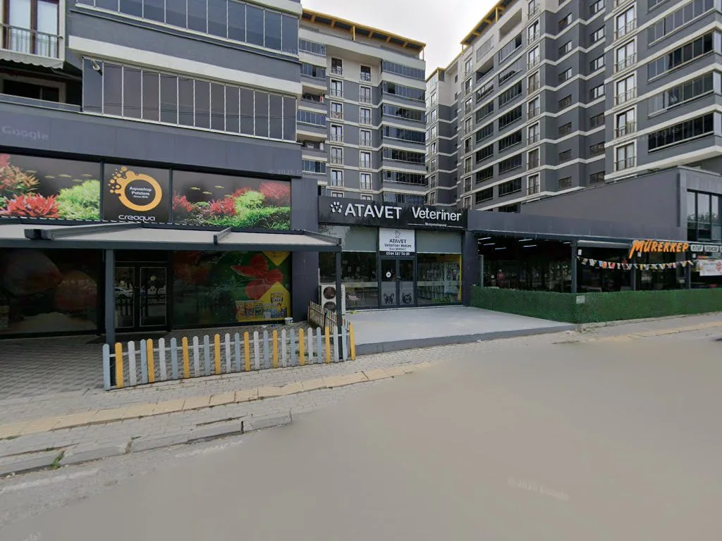 Aquashop – Street View ve 360° · Alemdar, Bursa