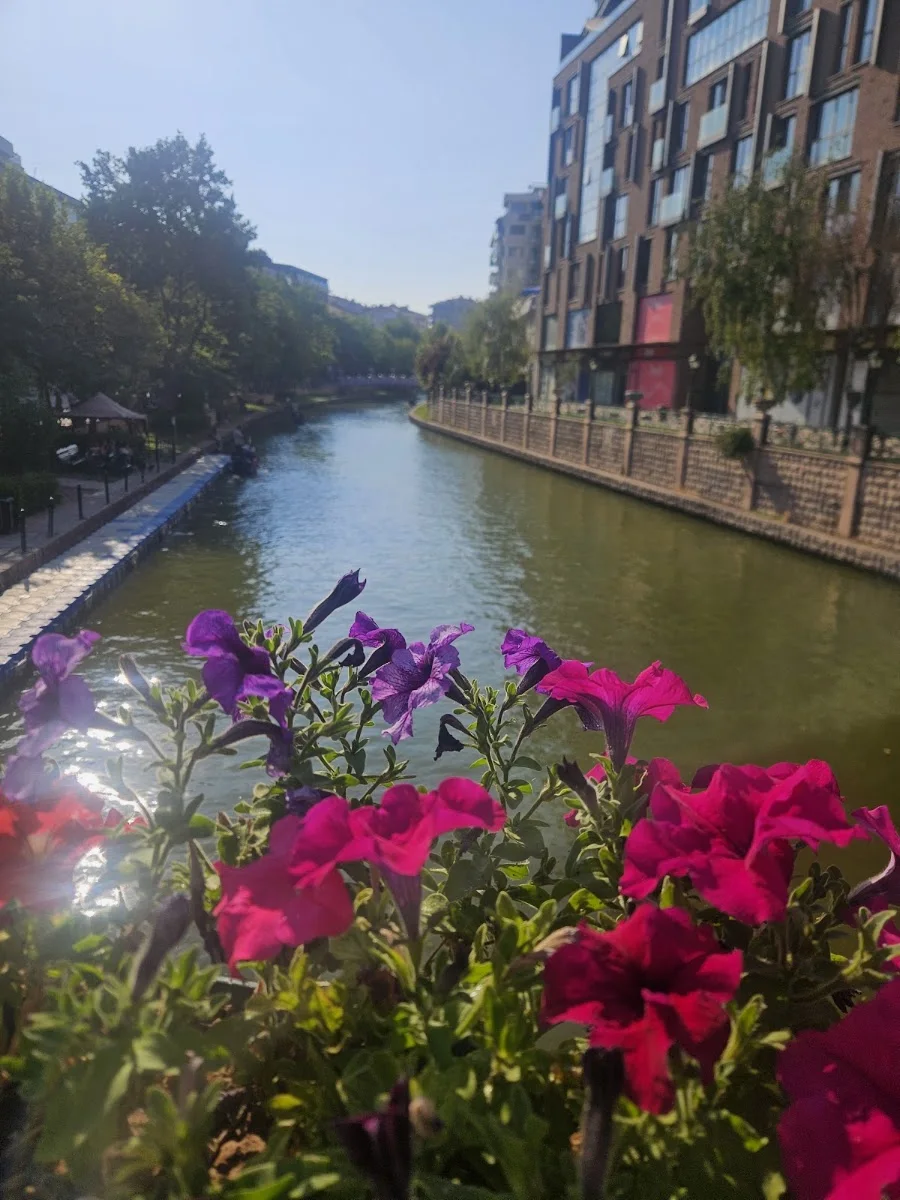 EBB Esgondol İskelesi – En son · Arifiye, Eskişehir