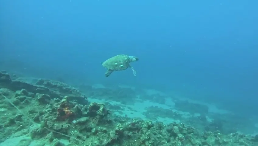 Aquapro Dive Center,Bitez,Bodrum – Videolar · Bitez, Muğla